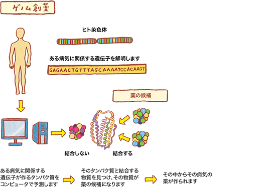 ゲノム創薬の図