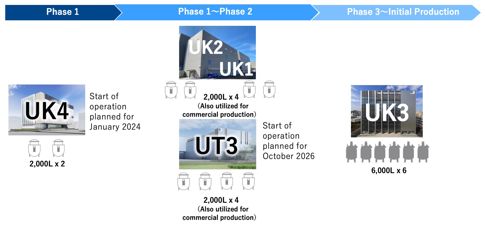 Framework of Antibody DS Production (Clinical Development to Initial Commercial Production)