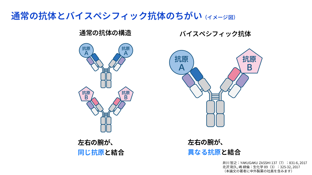 通常の抗体とバイスペシフィック抗体のちがい（イメージ図）