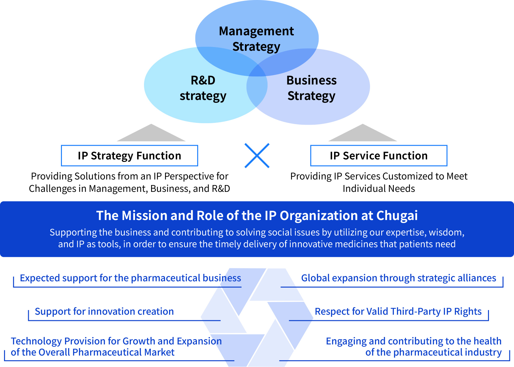 IP Strategy Function: Providing Solutions from an IP Perspective for Challenges in Management, Business, and R&D. × IP Service Function: Providing IP Services Customized to MeetIndividual Needs. / The Mission and Role of the IP Organization at Chugai: Supporting the business and contributing to solving social issues by utilizing our expertise, wisdom, and IP as tools, in order to ensure the timely delivery of innovative medicines that patients need. Expected support for the pharmaceutical business, Support for innovation creation, Technology Provision for Growth and Expansion of the Overall Pharmaceutical Market, Global expansion through strategic alliances, Respect for Valid Third-Party IP Rights, Engaging and contributing to the health of the pharmaceutical industry