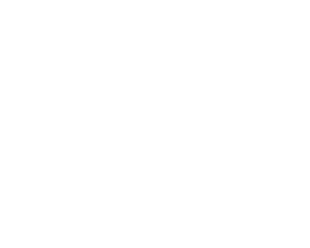 Envisioned Future Message from the CEO