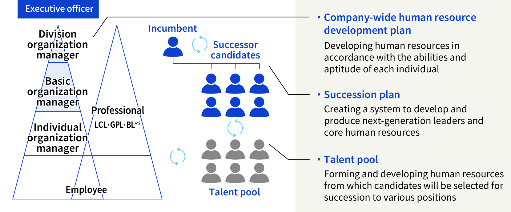 Company-wide human resource development plan: Developing human resources in accordance with the abilities and aptitude of each individual /
Succession plan: Creating a system to develop and produce next-generation leaders and core human resources /
Talent pool: Forming and developing human resources from which candidates will be selected for succession to various positions