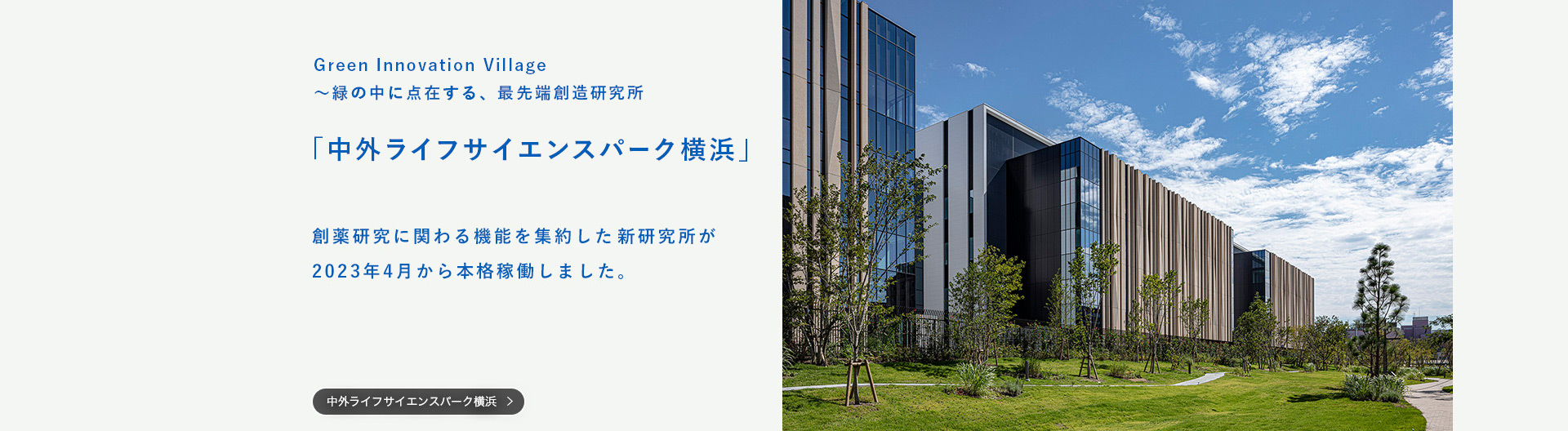Green Innovation Village 緑の中に点在する、最先端創造研究所「中外ライフサイエンスパーク横浜」　創薬研究に関わる機能を集約した新研究所が2023年4月から本格稼働しました。