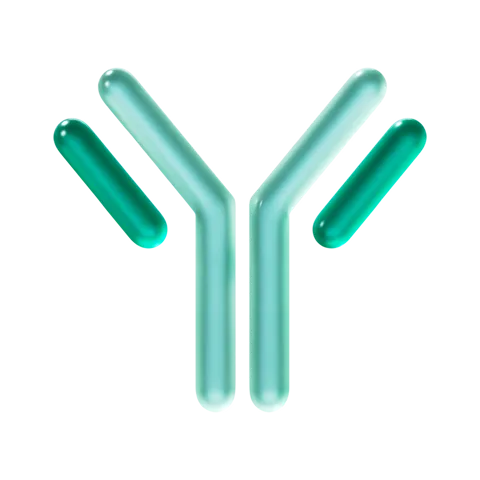 高分子医薬品の画像
