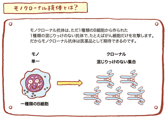 モノクローナル抗体とは？の図01