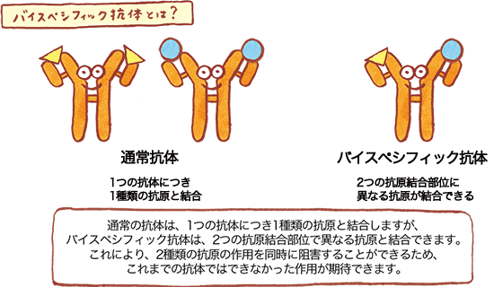 バイスペシフィック抗体の図