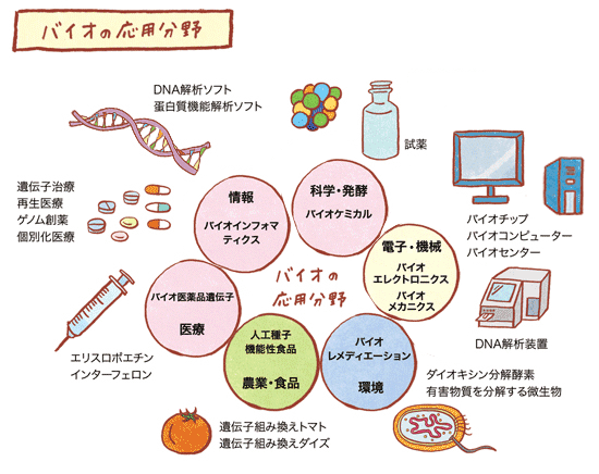 バイオの応用分野の図