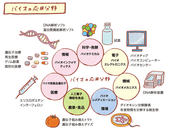 バイオの応用分野の図