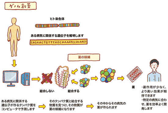 ゲノム創薬の図