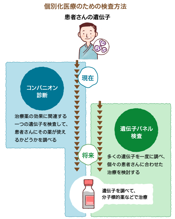 個別化医療を実現する薬や検査とは バイオのはなし 中外製薬 個別化医療を実現する薬や検査とは バイオのはなし 中外製薬