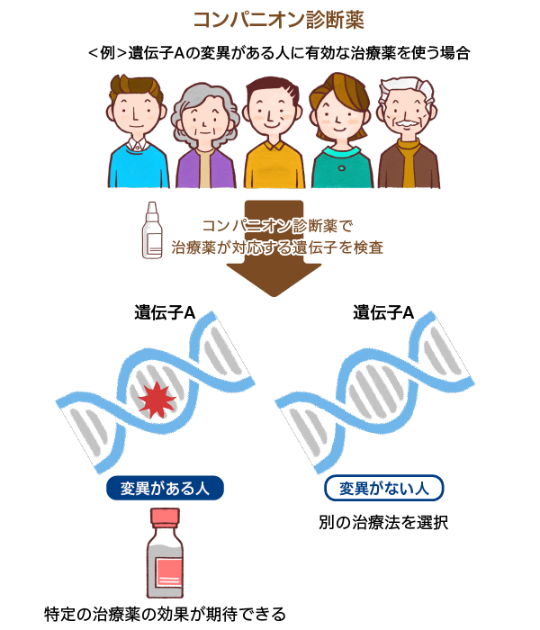 コンパニオン診断薬とは バイオのはなし 中外製薬