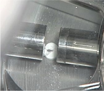 自動サンプリングの様子