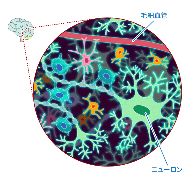 ニューロン