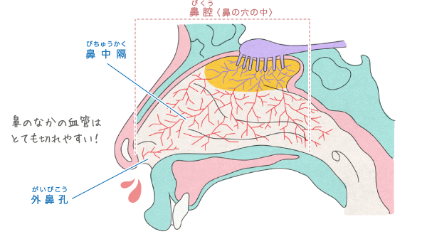 鼻血