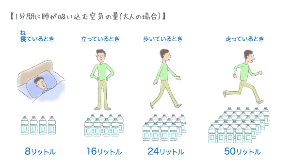 一分間に肺が吸い込む空気の量(大人の場合)