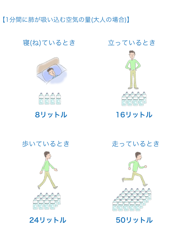 肺 からだとくすりのはなし 中外製薬