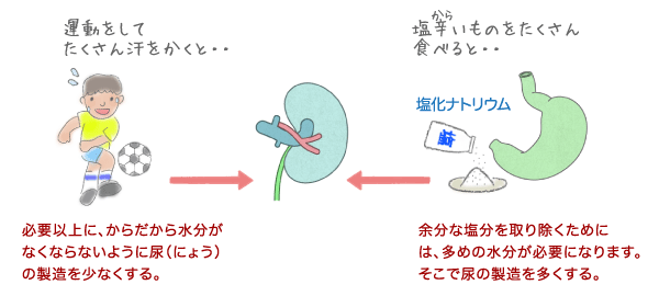 水分の調整