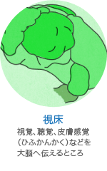 視床の働き
