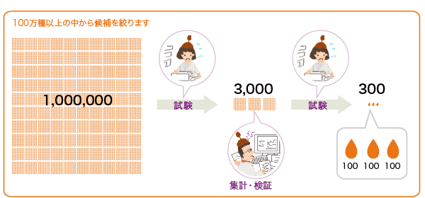 100万種以上の中から候補を絞ります