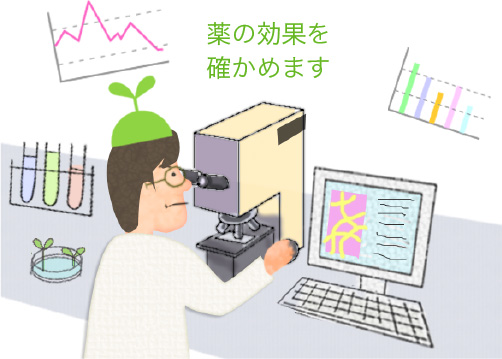 イラスト　薬効薬理試験