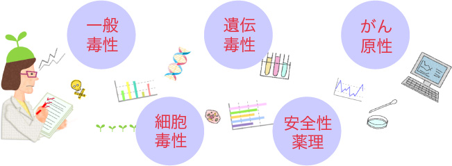 一般毒性 細胞毒性 遺伝毒性 安全性薬理 がん原性