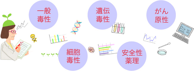 一般毒性　細胞毒性　遺伝毒性　安全性薬理　がん原性