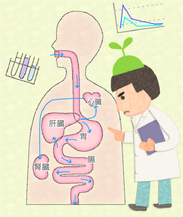 薬物動態試験 からだとくすりのはなし 中外製薬