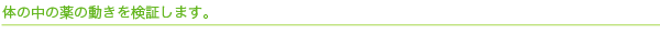 体の中の薬の動きを検証します。
