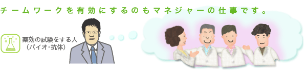 チームワークを有効にするのもマネジャーの仕事です。薬効の試験(バイオ・抗体)