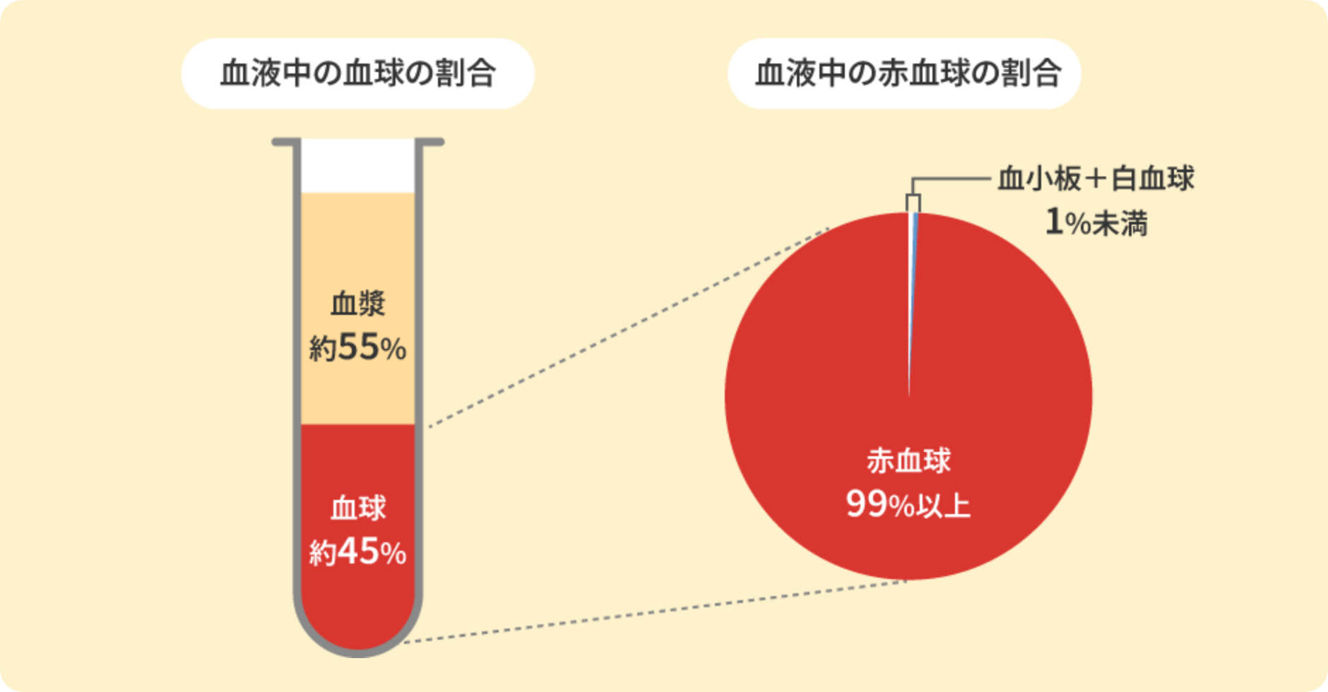 血液中の血球の割合約45%、血球中の赤血球の割合99%以上血小板+白血球1%未満