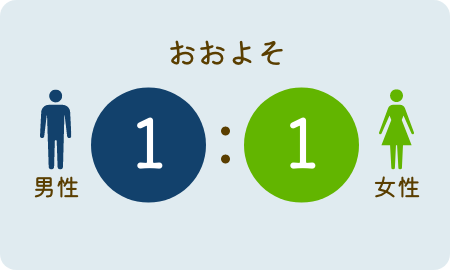 おおよそ1：1