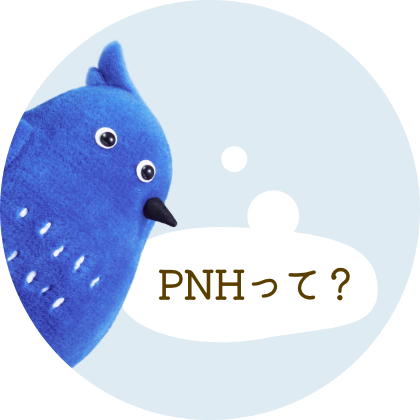 PNHって？