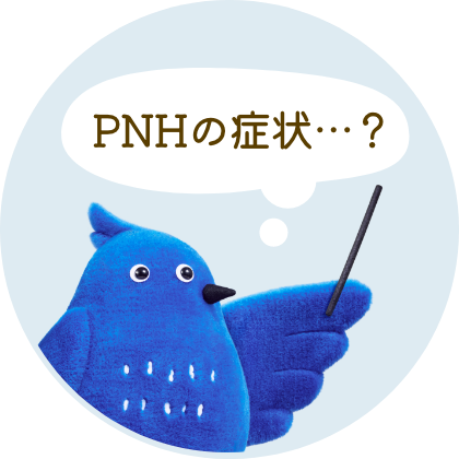 PNHの症状？