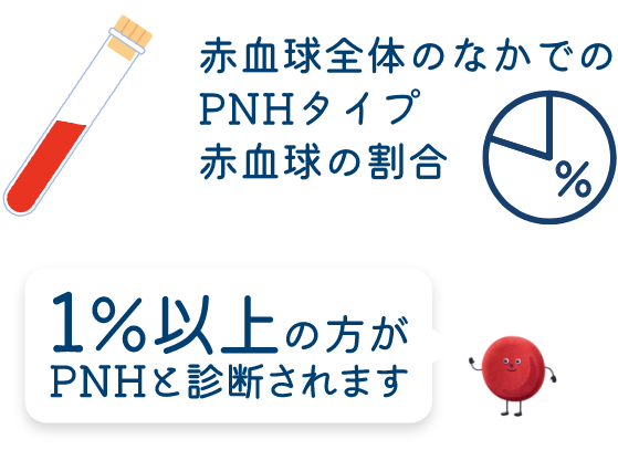 PNHタイプの赤血球が1%以上の方がPNHと診断されます