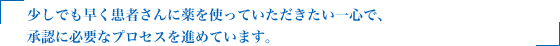 少しでも早く患者さんに薬を使っていただきたい一心で、承認に必要なプロセスを進めています。