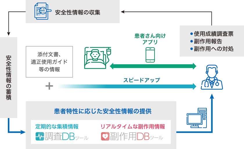 使用成績調査票、副作用報告等から安全性情報を収集し、蓄積します。それらを添付文書等の情報に反映するとともに、各種データベースツールを活用し患者さんの特性に応じた安全性情報の提供を行っています。